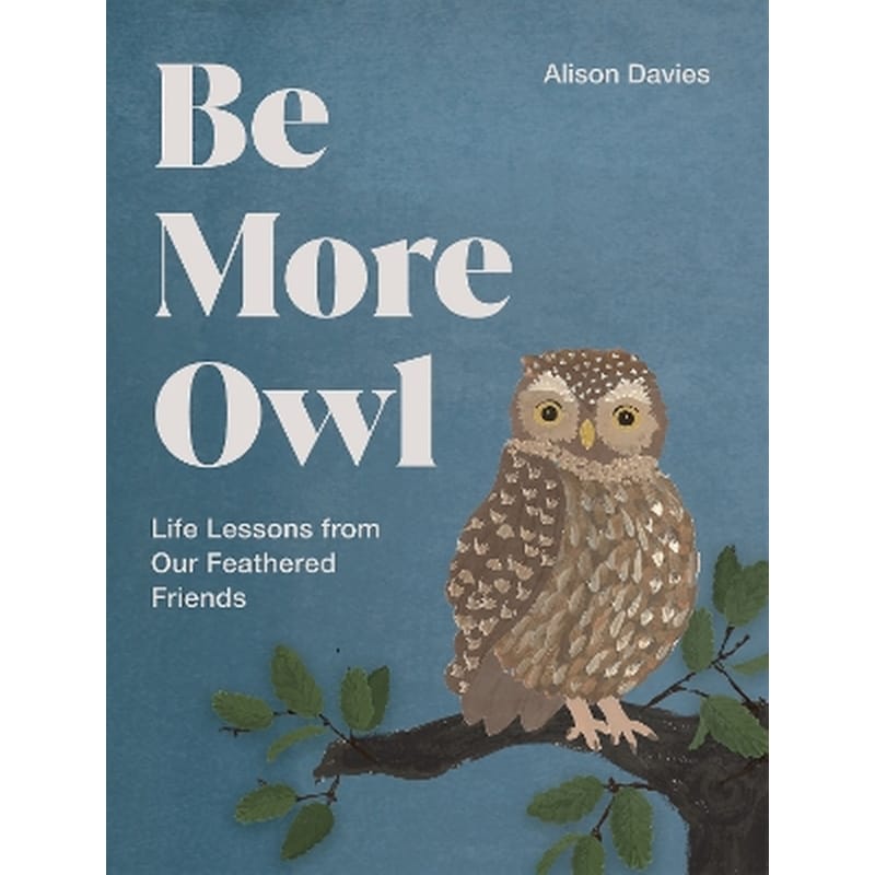 Be More Owl