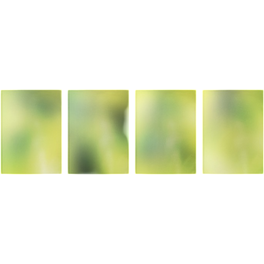Lemonade - The 2nd Album (Acid Ver.)
