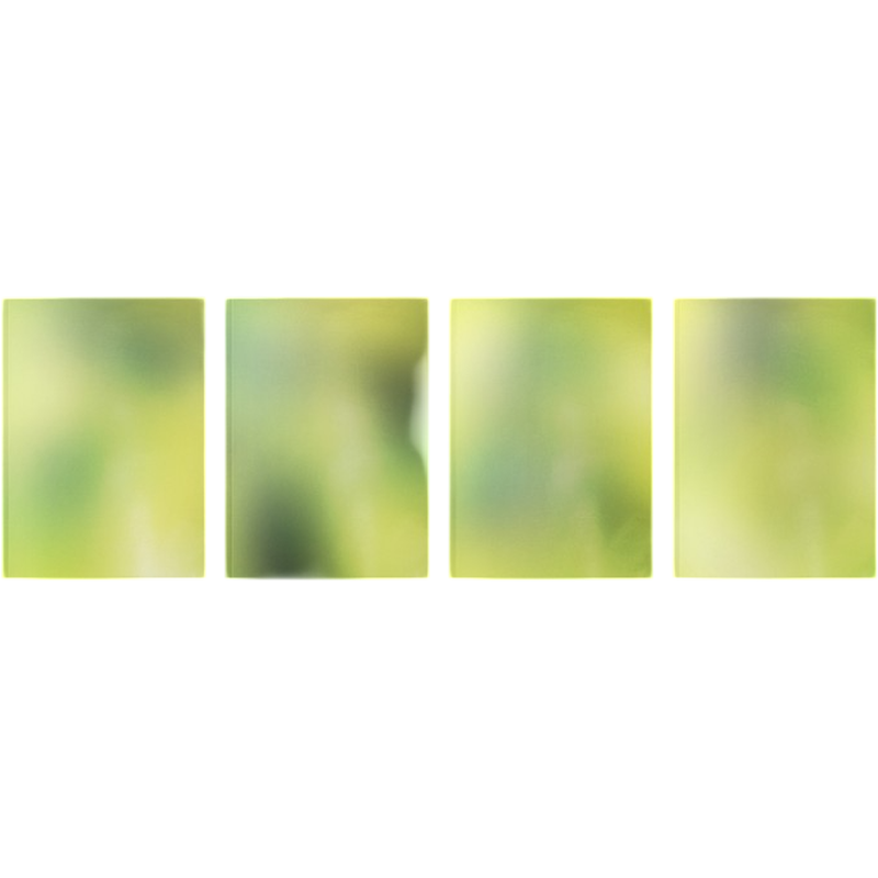 Lemonade - The 2nd Album (Acid Ver.)