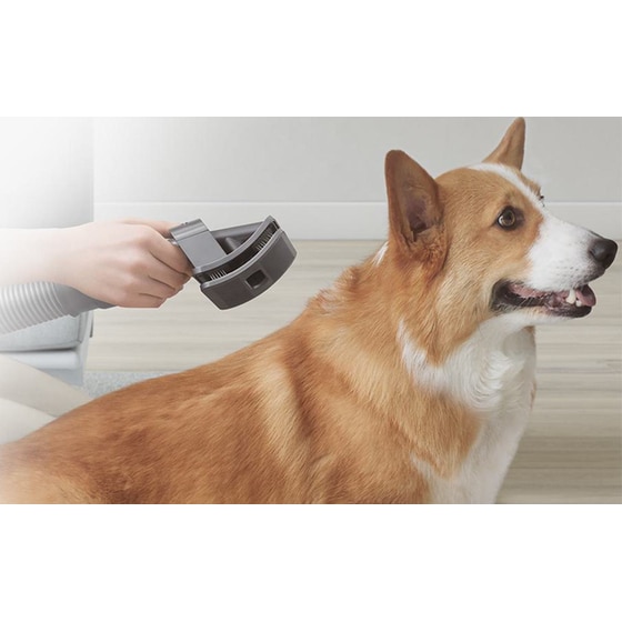 DYSON 972205-01 PΕΤ GROOMING ΚΙΤ Αξεσουάρ Σκούπας image 4