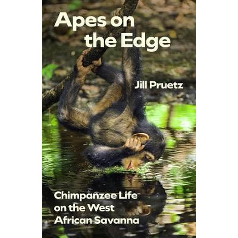 Apes on the Edge