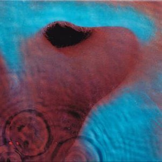 Meddle image 3
