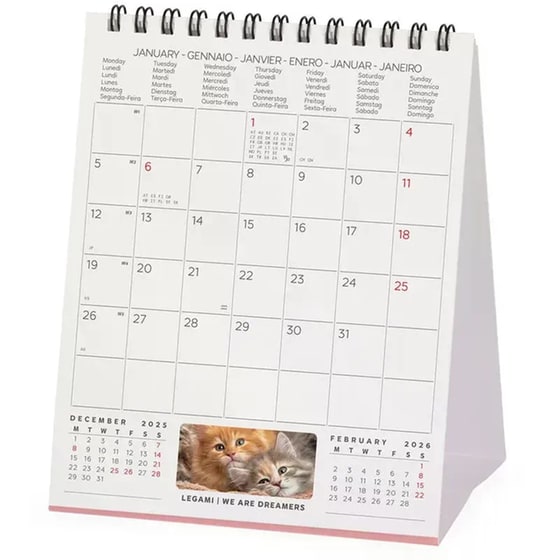 Ημερολόγιο Γραφείου Legami 2026 Kittens image 2