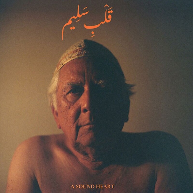 A Sound Heart (2LP)