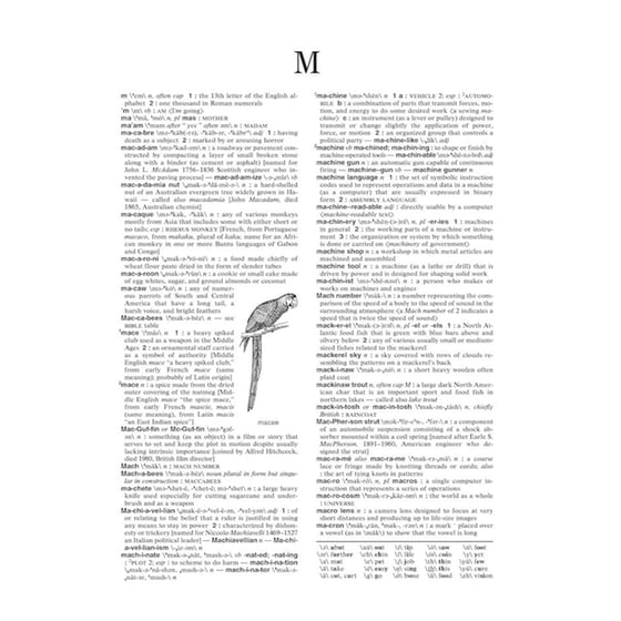Merriam Webster's Intermediate Dictionary image 5