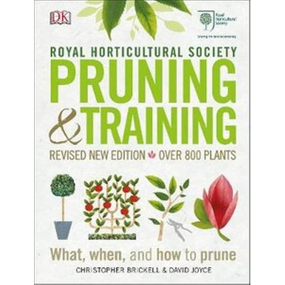 RHS Pruning and Training image 0