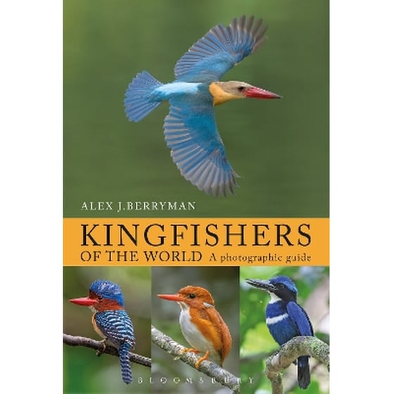 Kingfishers Of The World image 0