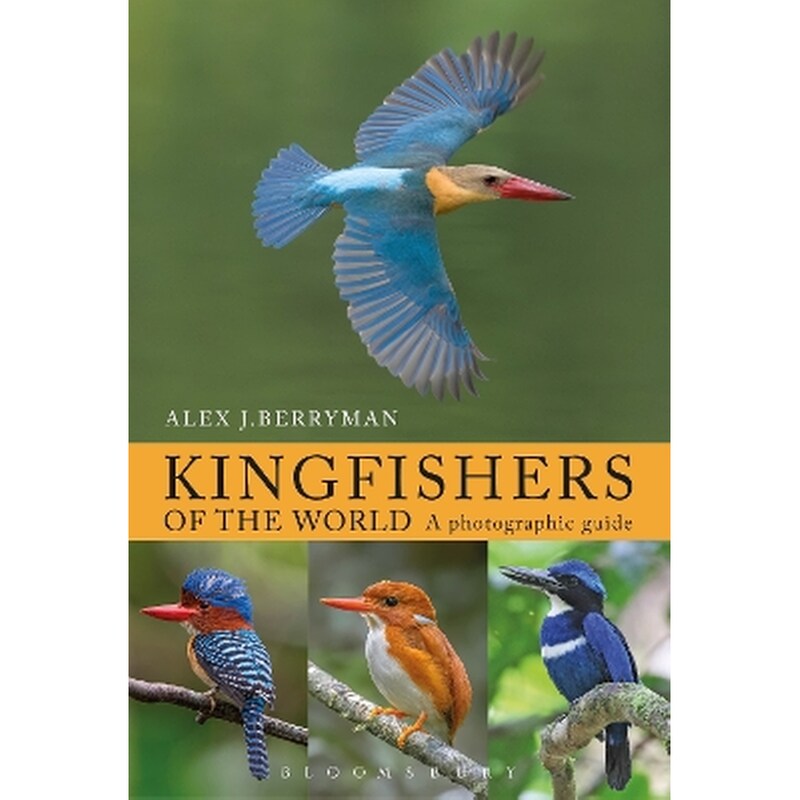 Kingfishers Of The World