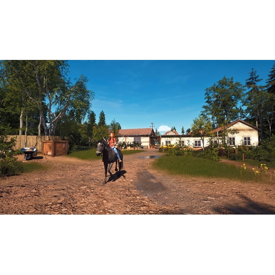 Windstorm: Start of a Great Friendship Remastered - PS5 image 3