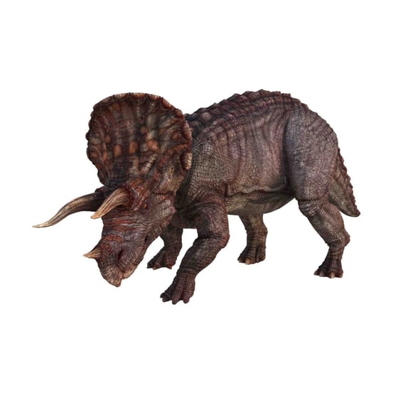 Picture Viewer Με Δεινόσαυρους Natural History Museum image 3