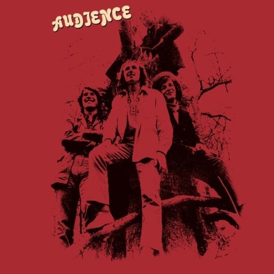 Audience image 0