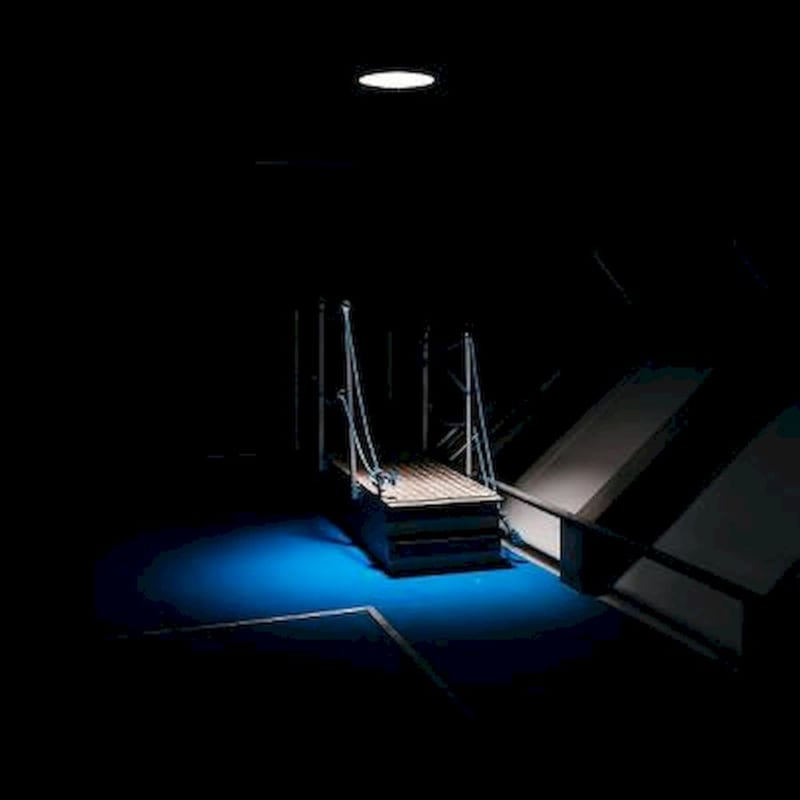 Nocturnal Manoeuvres (Color LP)