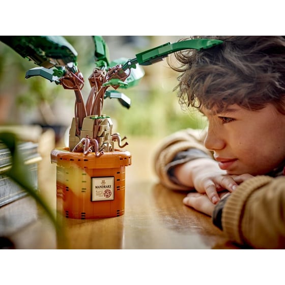 LEGO® Harry Potter Mandrake (76433) image 4