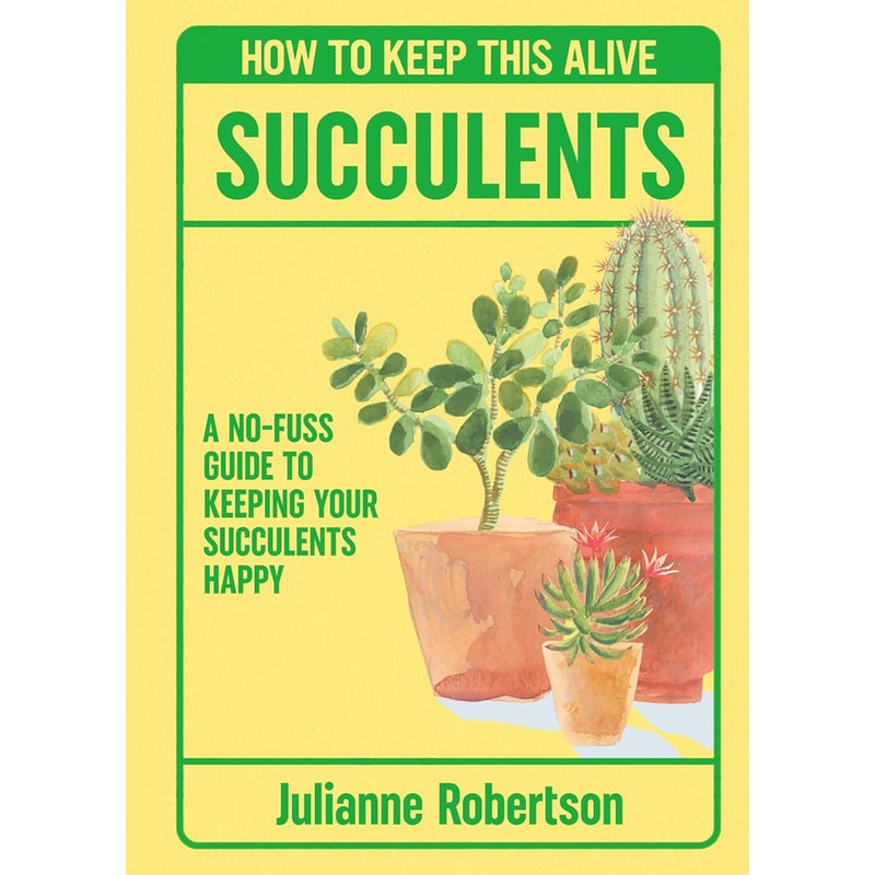 Succulents: How to Keep This Alive