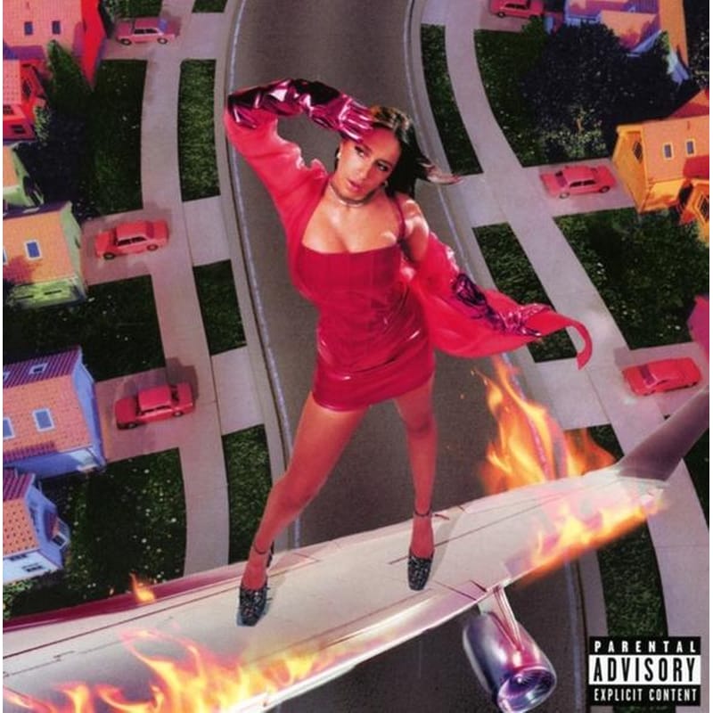 I Used To Think I Could Fly