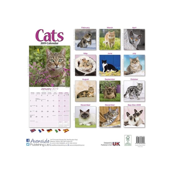 Ημερολόγιο Avonside 2019 Μηνιαίο  Τοίχου Cats Extra Large image 2