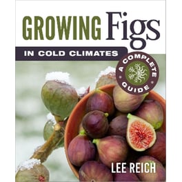 Growing Figs in Cold Climates