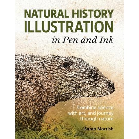 Natural History Illustration in Pen and Ink image 0