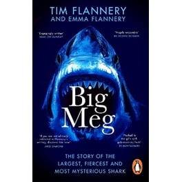 Big Meg