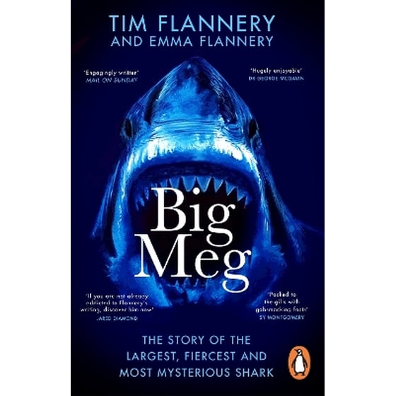 Big Meg image 0
