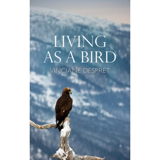 Living as a Bird image 0