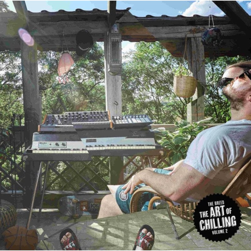 The Art Of Chilling Vol.2 (LP)