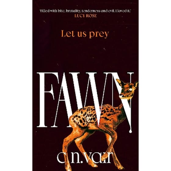 Fawn image 0