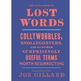 The Little Book of Lost Words