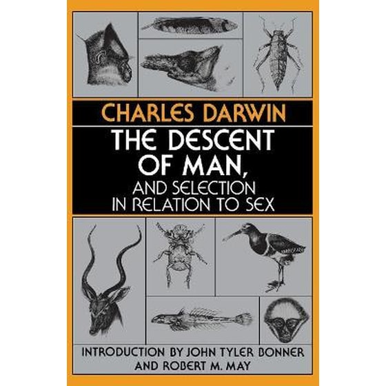 The Descent of Man, and Selection in Relation to Sex image 0