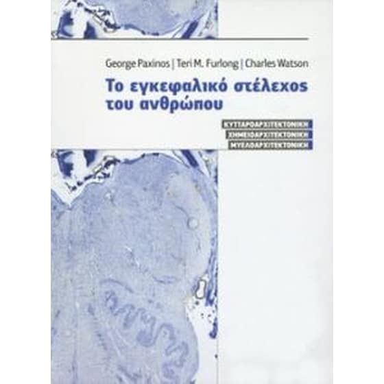 Το εγκεφαλικό στέλεχος του ανθρώπου image 0