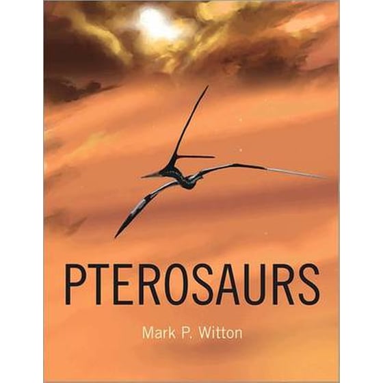 Pterosaurs image 0