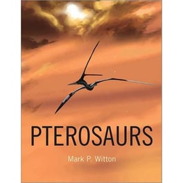 Pterosaurs