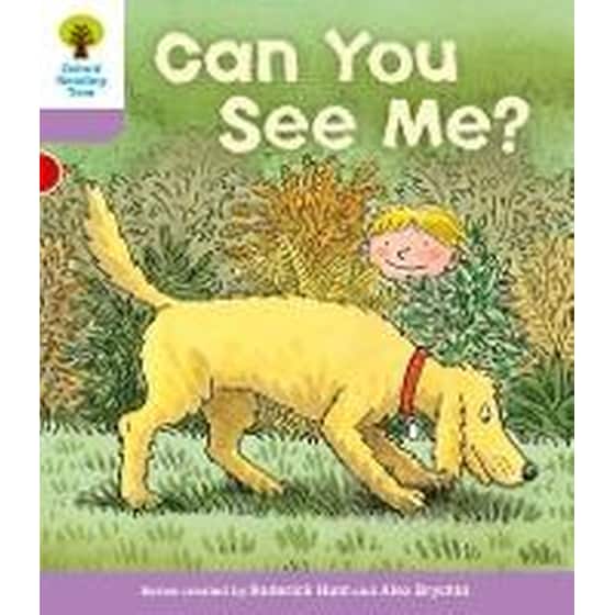 Oxford Reading Tree: Level 1+: More First Sentences C: Can You See image 0
