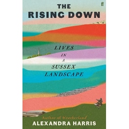 The Rising Down