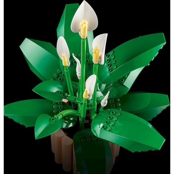 LEGO® Botanicals Σπαθίφυλλο (11504) image 4