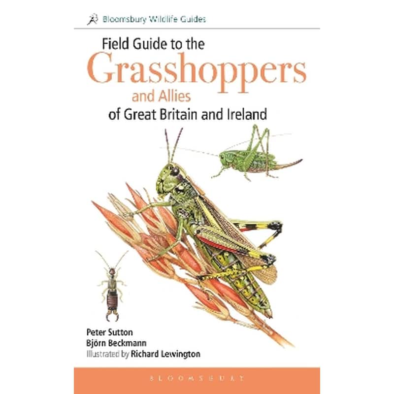 Field Guide to the Grasshoppers and Allies of Great Britain and Ireland