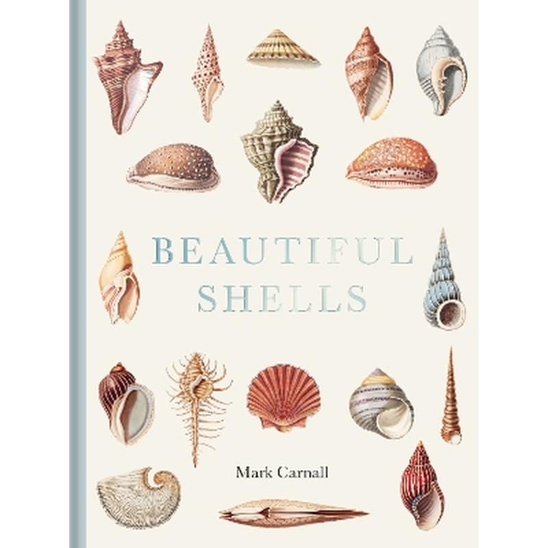 Beautiful Shells