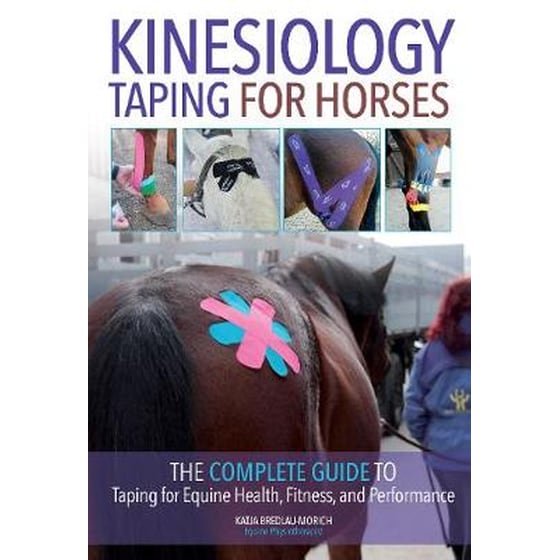 Kinesiology Taping for Horses image 0