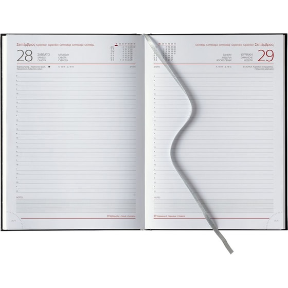 Ημερολόγιο Ημερήσιο 2026 Θεοφύλακτος 12M Sidney Πετρόλ image 1