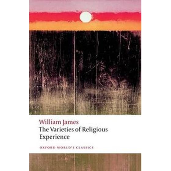 The Varieties of Religious Experience image 0