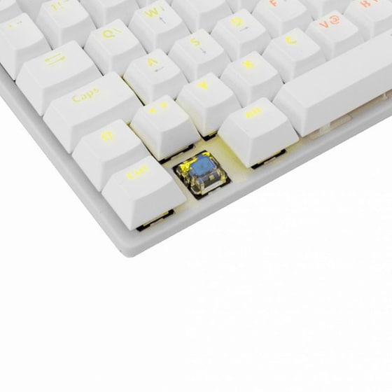 White Shark GK-2106 Gaming Μηχανικό Πληκτρολόγιο Tenkeyless RGB (US) image 4