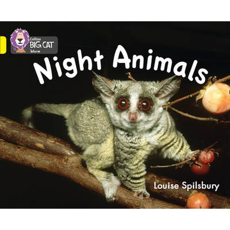Night Animals