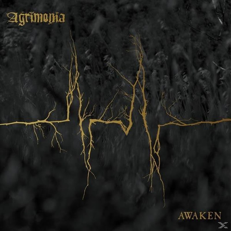 Awaken