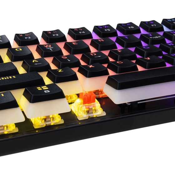 White Shark Ashiko -2 Ενσύρματο Gaming Πληκτρολόγιο με Red διακόπτες - Black (US) image 3