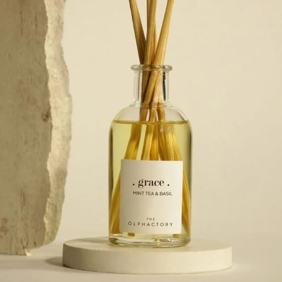 Diffuser Ambientair The Olphactory Mint Tea & Basil 100ml - Grace image 4