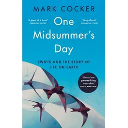 One Midsummer's Day