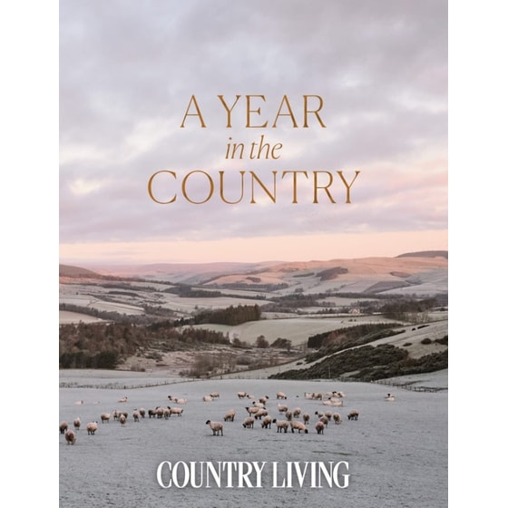 Year in the Country image 0