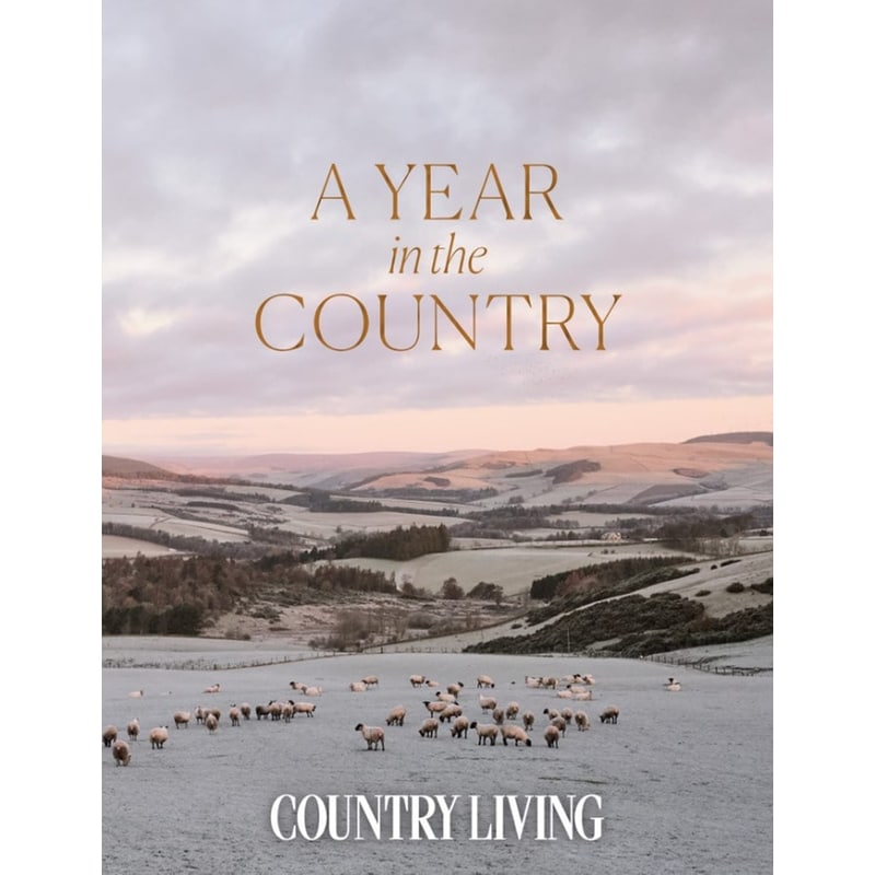 Year in the Country
