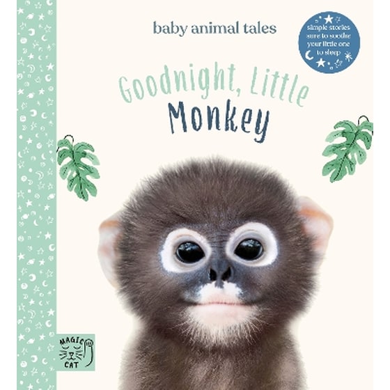 Goodnight, Little Monkey image 0