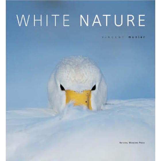 WHITE NATURE image 0